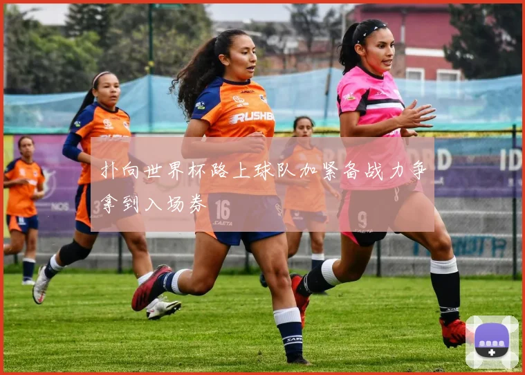 扑向世界杯路上球队加紧备战力争拿到入场券